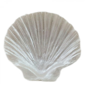 Concha branca 11,5x11cm batizado