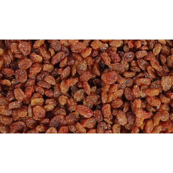 Sultana
