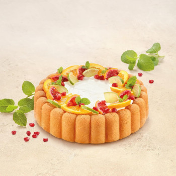 Forma bolo charlotte 24 cm...