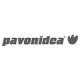 Pavonidea